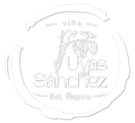 Logo UvasDelSanchez